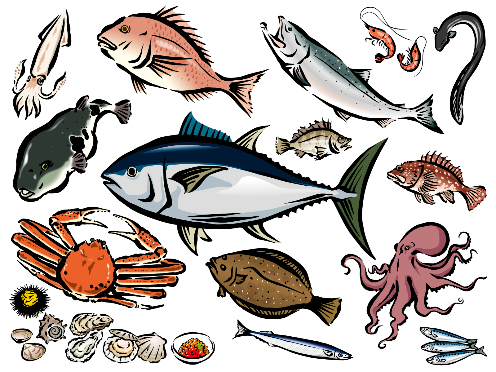 魚の数え方イメージ